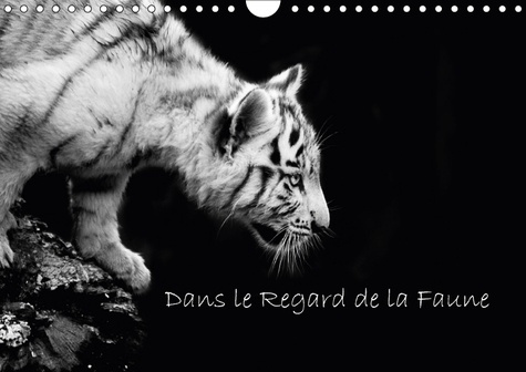 Emprunter DANS LE REGARD DE LA FAUNE CALENDRIER MURAL 2018 DIN A4 HORI - DECOUVREZ DE MAGNIFIQUES PORTR livre