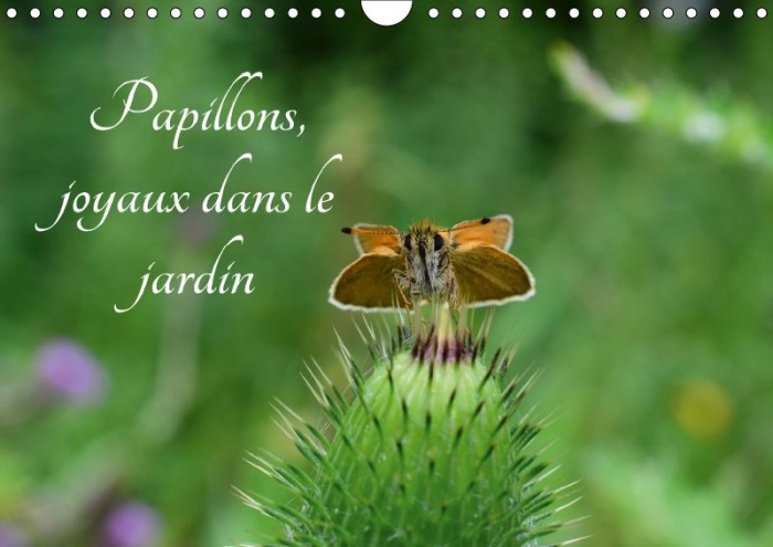 Emprunter PAPILLONS JOYAUX DANS LE JARDIN CALENDRIER MURAL 2018 DIN A4 - DES PAPILLONS DANS LES JARDINS livre