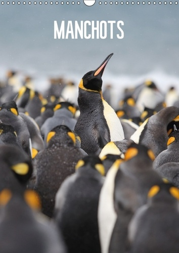 Emprunter MANCHOTS CALENDRIER MURAL 2018 DIN A3 VERTICAL - LA VIE FANTASTIQUE DES FAMILLE livre