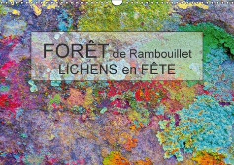 Emprunter FORET DE RAMBOUILLET LICHENS EN FETE CALENDRIER MURAL 2018 D - DANS LA FORET DE RAMBOUILLET G livre