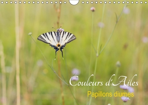Emprunter COULEURS D AILES CALENDRIER MURAL 2018 DIN A4 HORIZONTAL - PAPILLONS DIURNES CALENDRIER M livre