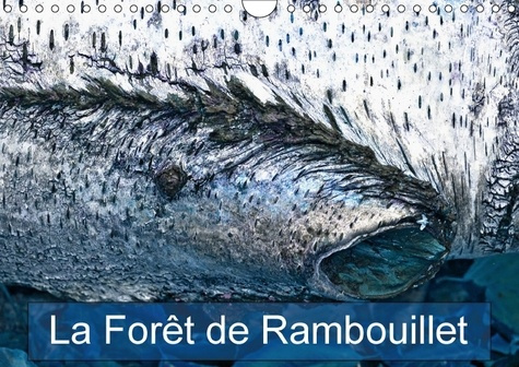 Emprunter LA FORET DE RAMBOUILLET CALENDRIER MURAL 2018 DIN A4 HORIZON - LA FORET FRANCILIENNE DE RAMBO livre