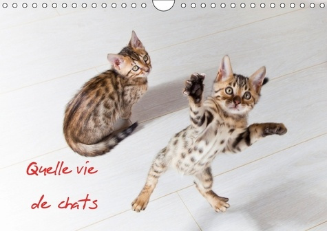 Emprunter QUELLE VIE DE CHATS CALENDRIER MURAL 2018 DIN A4 HORIZONTAL - CHATS ET CHATONS CALENDRIER ME livre