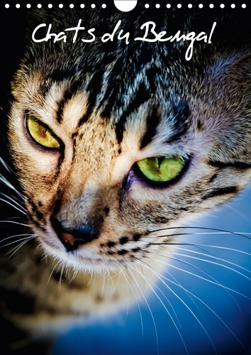 Emprunter CHATS DU BENGAL CALENDRIER MURAL 2018 DIN A4 VERTICAL - CHATONS DU BENGAL ET LEUR MAMA livre