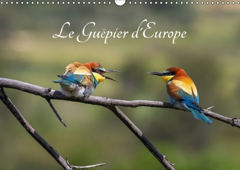 Emprunter LE GUEPIER D EUROPE MEROPS APIASTER CALENDRIER MURAL 2018 DI - DECOUVREZ CHAQUE MOIS LES DIFF livre