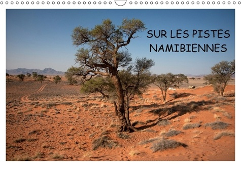 Emprunter SUR LES PISTES NAMIBIENNES CALENDRIER MURAL 2018 DIN A3 HORI - A LA DECOUVERTE DE LA NAMIBIE livre