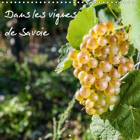 Emprunter DANS LES VIGNES DE SAVOIE CALENDRIER MURAL 2018 300 300 MM S - LES VIGNES AU PAYS DE SAVOIE C livre
