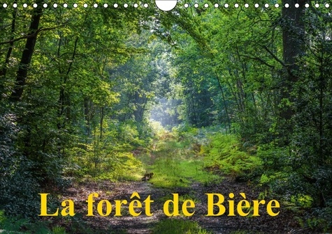 Emprunter LA FORET DE BIERE CALENDRIER MURAL 2018 DIN A4 HORIZONTAL - PAYSAGES DE LA FORET DE FONTAI livre