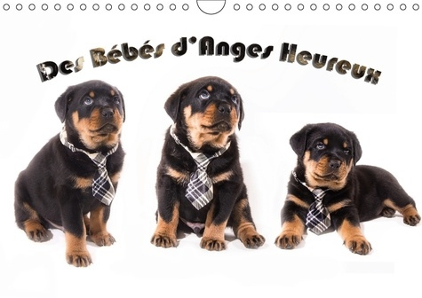 Emprunter DES BEBES D ANGES HEUREUX CALENDRIER MURAL 2018 DIN A4 HORIZ - LE ROTTWEILER RACE CANINE DE T livre