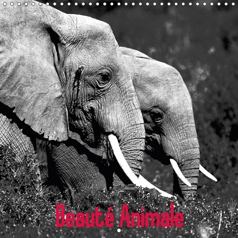 Emprunter BEAUTE ANIMALE CALENDRIER MURAL 2018 300 300 MM SQUARE - NOTRE PLANETE EST RICHE DE SPE livre