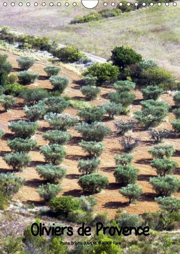 Emprunter OLIVIERS DE PROVENCE CALENDRIER MURAL 2018 DIN A4 VERTICAL - PHOTOS DE CES MAJESTUEUX OLIVI livre