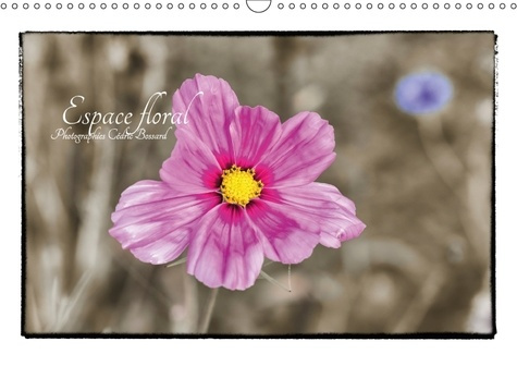 Emprunter ESPACE FLORAL CALENDRIER MURAL 2018 DIN A3 HORIZONTAL - VISION PERSONNELLE SUR LES FLE livre