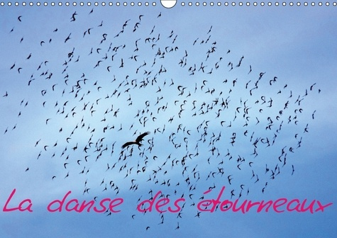 Emprunter LA DANSE DES ETOURNEAUX CALENDRIER MURAL 2018 DIN A3 HORIZON - LA MIGRATION DES ETOURNEAUX CA livre