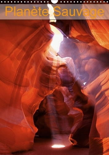 Emprunter PLANETE SAUVAGE CALENDRIER MURAL 2018 DIN A3 VERTICAL - CHEMINEMENT EN IMAGES VERS UNE livre