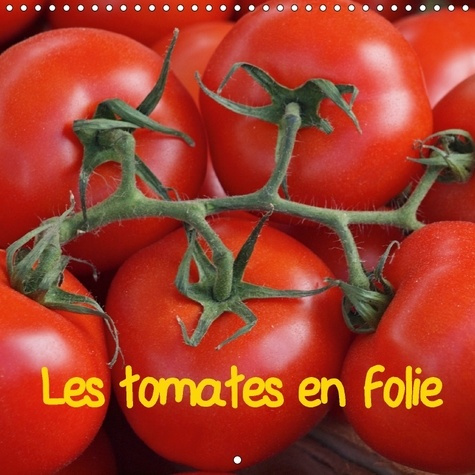Emprunter LES TOMATES EN FOLIE CALENDRIER MURAL 2018 300 300 MM SQUARE - LE MEILLEUR DES TOMATES REUNI livre