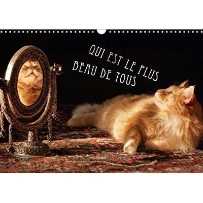 Emprunter QUI EST LE PLUS BEAU DE TOUS CALENDRIER MURAL 2018 DIN A3 HO - CHATS ELEVES DANS L EXAMEN BEA livre