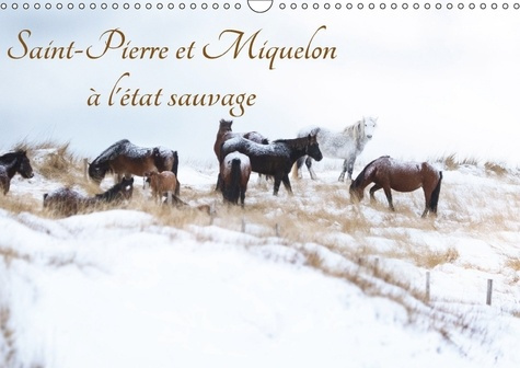 Emprunter SAINT PIERRE ET MIQUELON A L ETAT SAUVAGE CALENDRIER MURAL 2 - UN PETIT BOUT DE FRANCE MECONN livre
