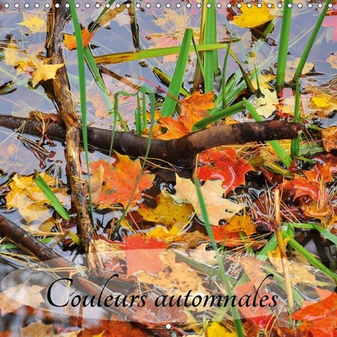 Emprunter COULEURS AUTOMNALES CALENDRIER MURAL 2018 300 300 MM SQUARE - PROMENADE DANS LE QUEBEC AUTOM livre