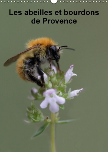 Emprunter LES ABEILLES ET BOURDONS DE PROVENCE CALENDRIER MURAL 2018 D - NOS AMIS LES ABEILLES ET LES B livre