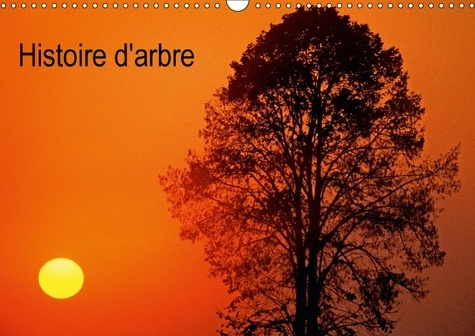 Emprunter HISTOIRE D ARBRE CALENDRIER MURAL 2018 DIN A3 HORIZONTAL - PHOTOGRAPHIES D ARBRES CALENDR livre