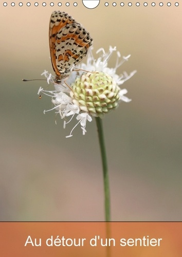 Emprunter AU DETOUR D UN SENTIER CALENDRIER MURAL 2018 DIN A4 VERTICAL - MA CURIOSITE S EVEILLE AU GRE livre