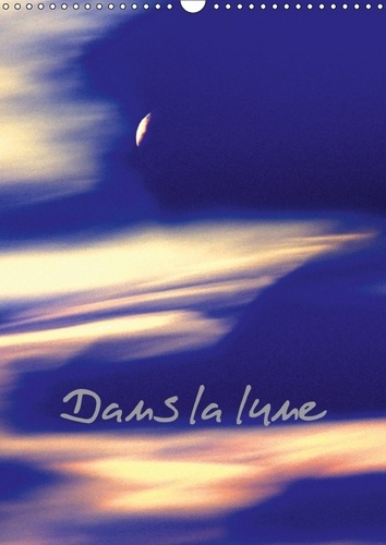 Emprunter DANS LA LUNE CALENDRIER MURAL 2018 DIN A3 VERTICAL - PAYSAGES DE LUNE CALENDRIER ME livre