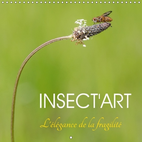 Emprunter INSECT ART CALENDRIER MURAL 2018 300 300 MM SQUARE - AVEC INSECT ART DECOUVREZ CHAQ livre