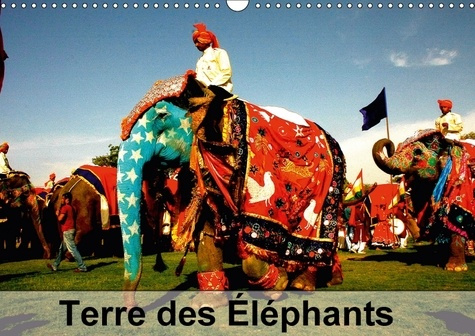 Emprunter TERRE DES ELEPHANTS CALENDRIER MURAL 2018 DIN A3 HORIZONTAL - DES QUELQUES 300 ESPECES DE MA livre