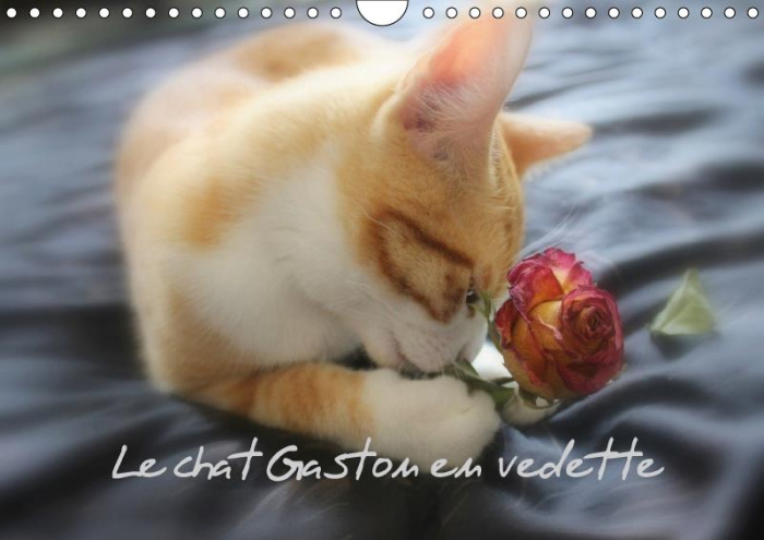 Emprunter LE CHAT GASTON EN VEDETTE CALENDRIER MURAL 2018 DIN A4 HORIZ - PHOTOS INEDITES DE GASTON LE C livre