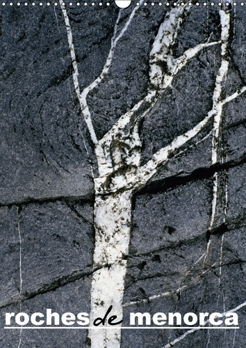 Emprunter ROCHES DE MENORCA CALENDRIER MURAL 2018 DIN A3 VERTICAL - UNE RECHERCHE DES TEXTURES NAT livre