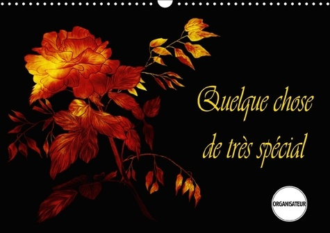 Emprunter QUELQUE CHOSE DE TRES SPECIAL CALENDRIER MURAL 2018 DIN A3 H - DESSINS AUX COULEURS ENSOLEILL livre