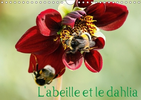Emprunter L ABEILLE ET LE DAHLIA CALENDRIER MURAL 2018 DIN A4 HORIZONT - LE DAHLIA ET L ABEILLE EN PARF livre