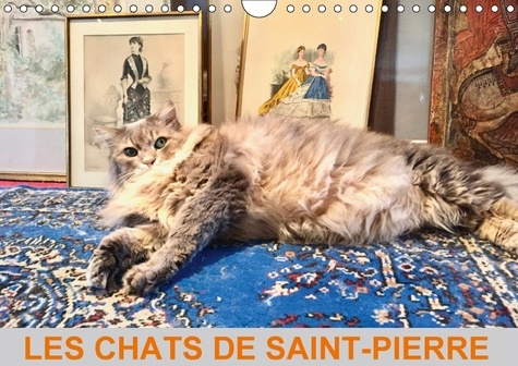 Emprunter LES CHATS DE SAINT PIERRE CALENDRIER MURAL 2018 DIN A4 HORIZ - LES CHATS DE GOUTTIERE EN MODE livre