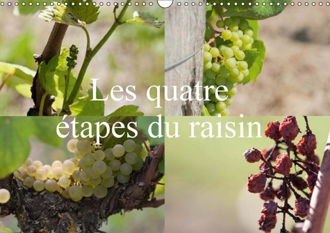 Emprunter LES QUATRE ETAPES DU RAISIN CALENDRIER MURAL 2018 DIN A3 HOR - LE RAISIN LE NECTAR DES DIEUX livre