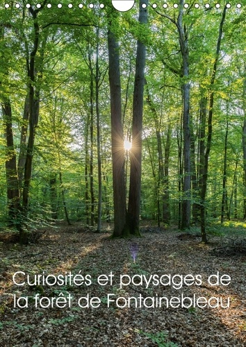 Emprunter CURIOSITES ET PAYSAGES DE LA FORET DE FONTAINEBLEAU CALENDRI - PARTEZ A LA DECOUVERTE DE LA F livre