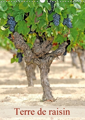 Emprunter TERRE DE RAISIN CALENDRIER MURAL 2018 DIN A3 VERTICAL - L UNIVERS DU RAISIN CALENDRIER livre