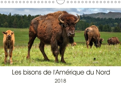 Emprunter LES BISONS DE L AMERIQUE DU NORD CALENDRIER MURAL 2018 DIN A - LE BISON EST LE PLUS GRAND MAM livre