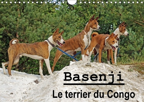 Emprunter BASENJI LE TERRIER DU CONGO CALENDRIER MURAL 2018 DIN A4 HOR - LE BASENJI EST UNE RACE DE CHI livre