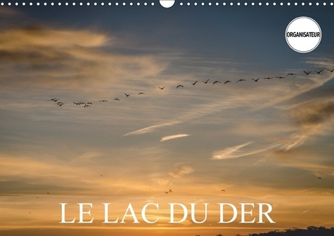 Emprunter LE LAC DU DER CALENDRIER MURAL 2018 DIN A3 HORIZONTAL - PAYSAGES DU LAC DU DER CALENDR livre