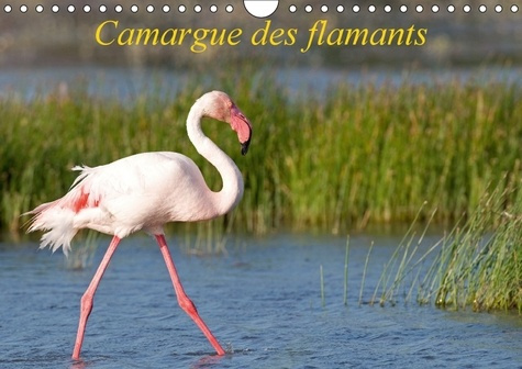 Emprunter CAMARGUE DES FLAMANTS CALENDRIER MURAL 2018 DIN A4 HORIZONTA - LA CAMARGUE SES FLAMANTS ET SE livre
