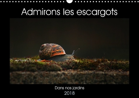 Emprunter ADMIRONS LES ESCARGOTS CALENDRIER MURAL 2018 DIN A3 HORIZONT - DANS NOS JARDINS CALENDRIER ME livre