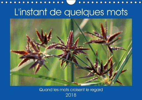 Emprunter L INSTANT DE QUELQUES MOTS CALENDRIER MURAL 2018 DIN A4 HORI - QUAND LES MOTS CROISENT LE REG livre
