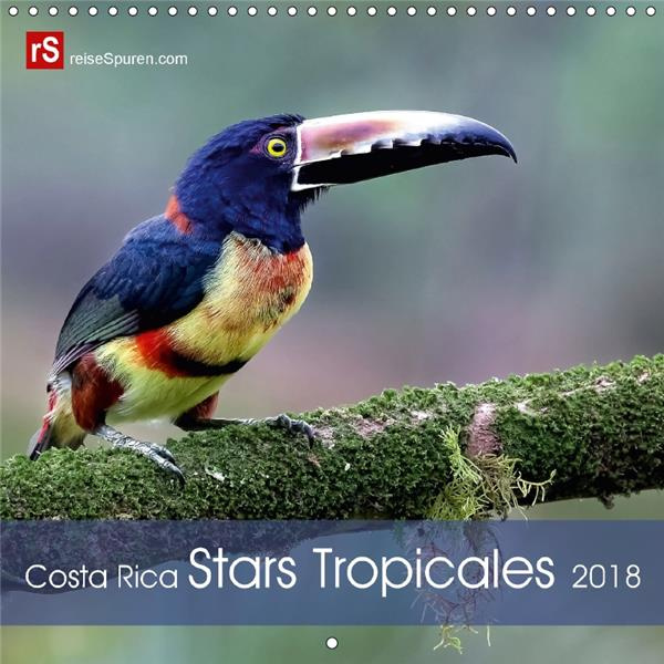 Emprunter COSTA RICA STARS TROPICALES CALENDRIER MURAL 2018 300 300 MM - 12 STARS COLOREES DE LA FAUNE livre