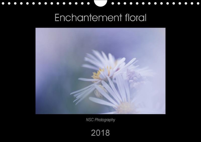 Emprunter ENCHANTEMENT FLORAL CALENDRIER MURAL 2018 DIN A4 HORIZONTAL - LE MONDE COLORE DES FLEURS CAL livre