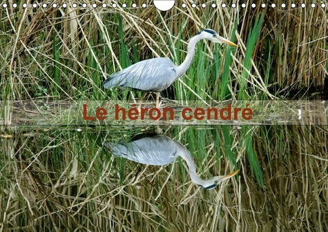 Emprunter LE HERON CENDRE CALENDRIER MURAL 2018 DIN A4 HORIZONTAL - PORTRAIT D UN OISEAU LE HERON livre