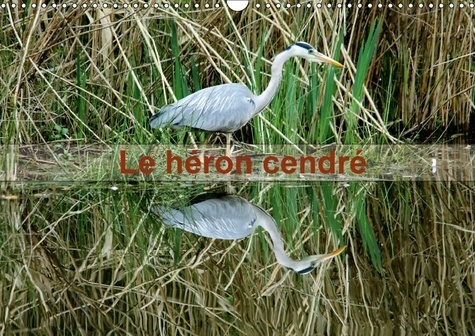 Emprunter LE HERON CENDRE CALENDRIER MURAL 2018 DIN A3 HORIZONTAL - PORTRAIT D UN OISEAU LE HERON livre