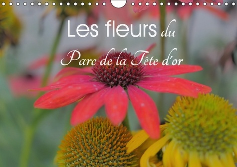 Emprunter FLEURS POUR UNE ANNEE EN COULE livre