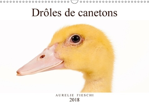 Emprunter DROLES DE CANETONS CALENDRIER MURAL 2018 DIN A3 HORIZONTAL - D ADORABLES CANETONS CALENDRIE livre