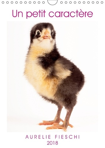 Emprunter UN PETIT CARACTERE CALENDRIER MURAL 2018 DIN A4 VERTICAL - SI JEUNES ET DEJA SI EXPRESSIF livre