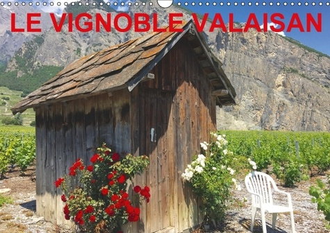 Emprunter LE VIGNOBLE VALAISAN UN TERROI livre